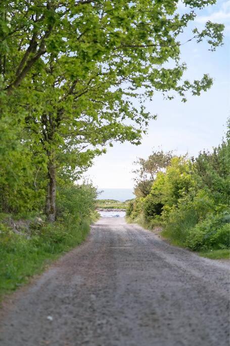 Traslovslage Cozy Cottage By The Sea South Of Varberg מראה חיצוני תמונה
