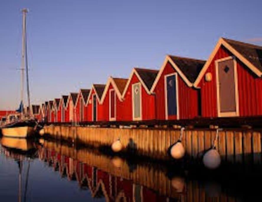 Traslovslage Cozy Cottage By The Sea South Of Varberg מראה חיצוני תמונה